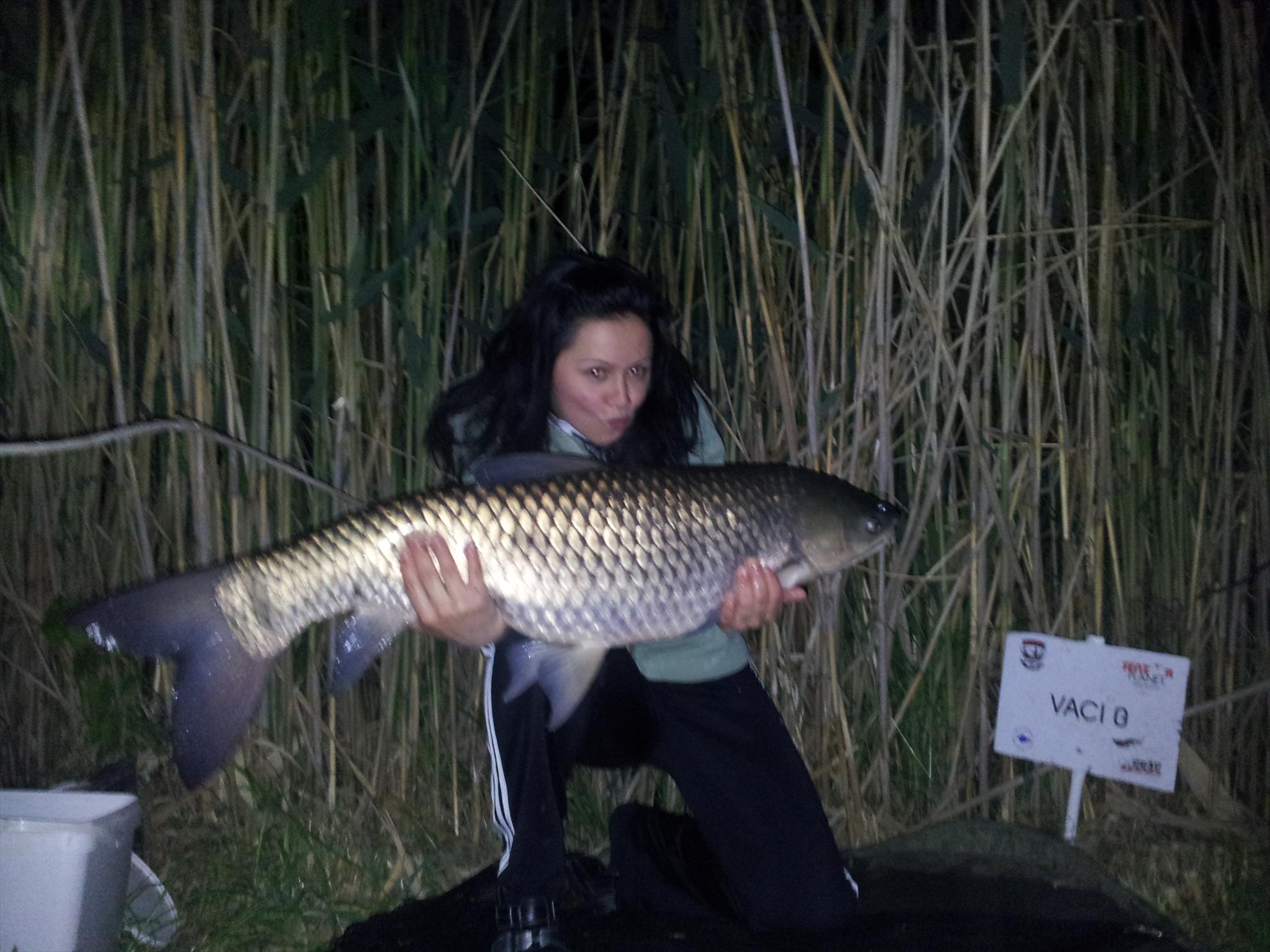 Prima Partida 2013 - Tancabesti Vaci 0 - 20130512013308.jpg